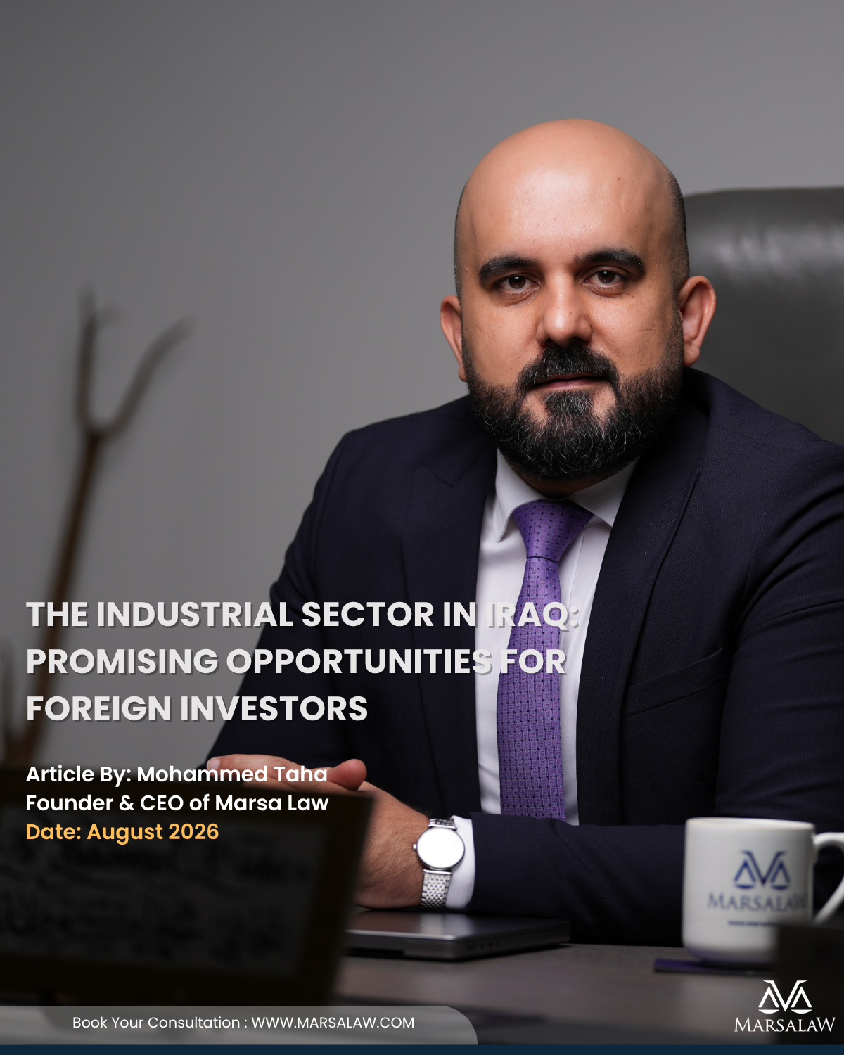 The Industrial Sector in Iraq: Promising Opportunities for Foreign Investors