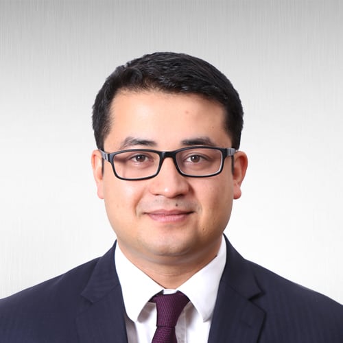 Anjan Neupane, Partner