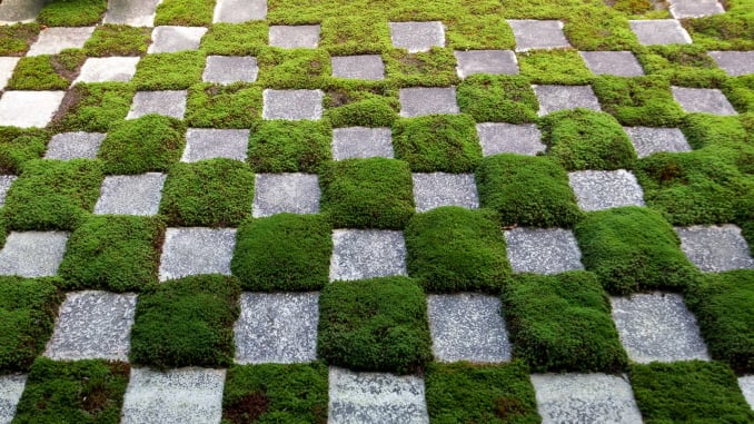 Environmental responsibility in real estate acquisitions