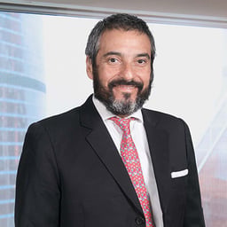 Cristián  Palacios