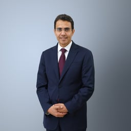 Bahaa Sholkamy