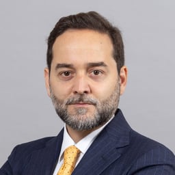 Pietro Paolo D\'Ippolito