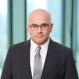Lev Gaft