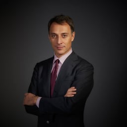 Michele Delfini