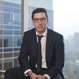 Tomás Sánchez E