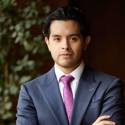 Alejandro U. Figueroa Molina