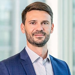 Luiz Mascaro