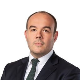 Martin del Gallego