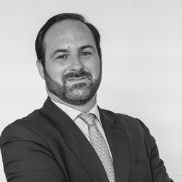João de Lemos Portugal