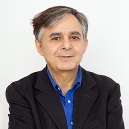 Arye  Liany