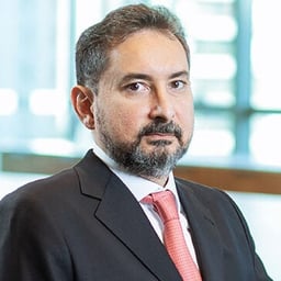 Marcelo Fortes