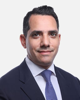 Hani Nassef