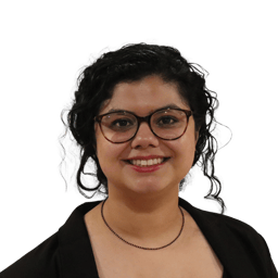 Krishna  Mahajan