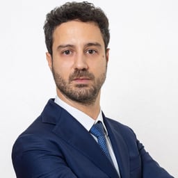 Luca Vicendone