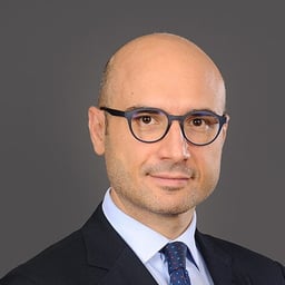 Vincenzo La Malfa