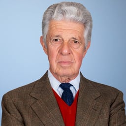 Luca Fabbrini
