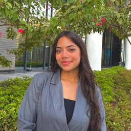 Aliaa  A. ElSherif 