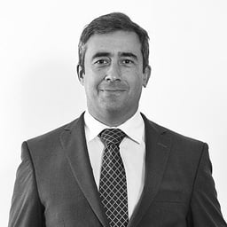 Ricardo Dionísio Mota 