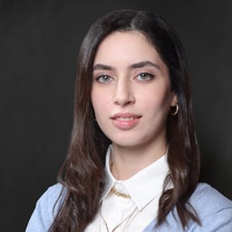 Nour Mashmoushi
