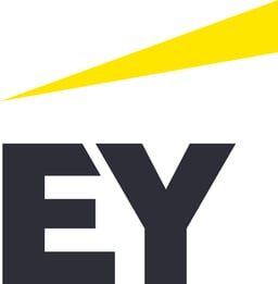Vámosi-Nagy Ernst & Young Law Office