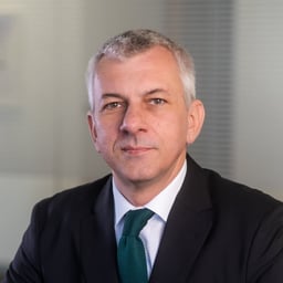 Branimir  Rajšić