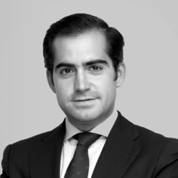 Álvaro Del Castillo Riba