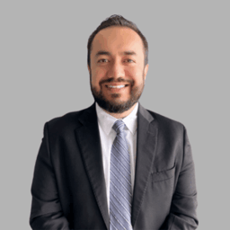 Luis Camilo  Sierra Gu00f3mez