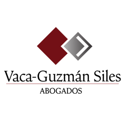 Vaca Guzmán Siles Sociedad Civil