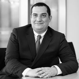 Miguel Riço dos Santos