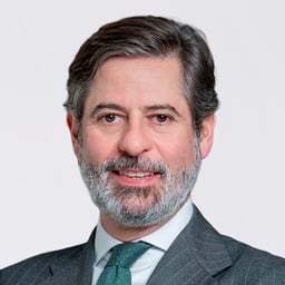 Javier  Martín-Merino y Bernardos