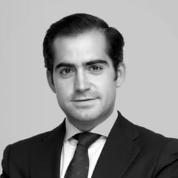 Álvaro Del Castillo Riba