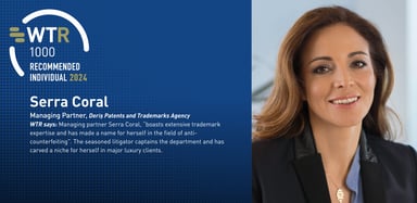 WTR - TURKEY- Gold - Individuals: enforcement and litigation