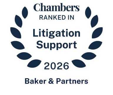 Chambers & Partners Global Litigation Support