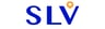 SLV Consultores