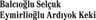 Balcioglu Selçuk Eymirlioglu Ardiyok Keki Attorney Partnership