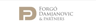 Forgó, Damjanovic & Partners Law Firm logo
