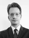 Vladimir Hrle