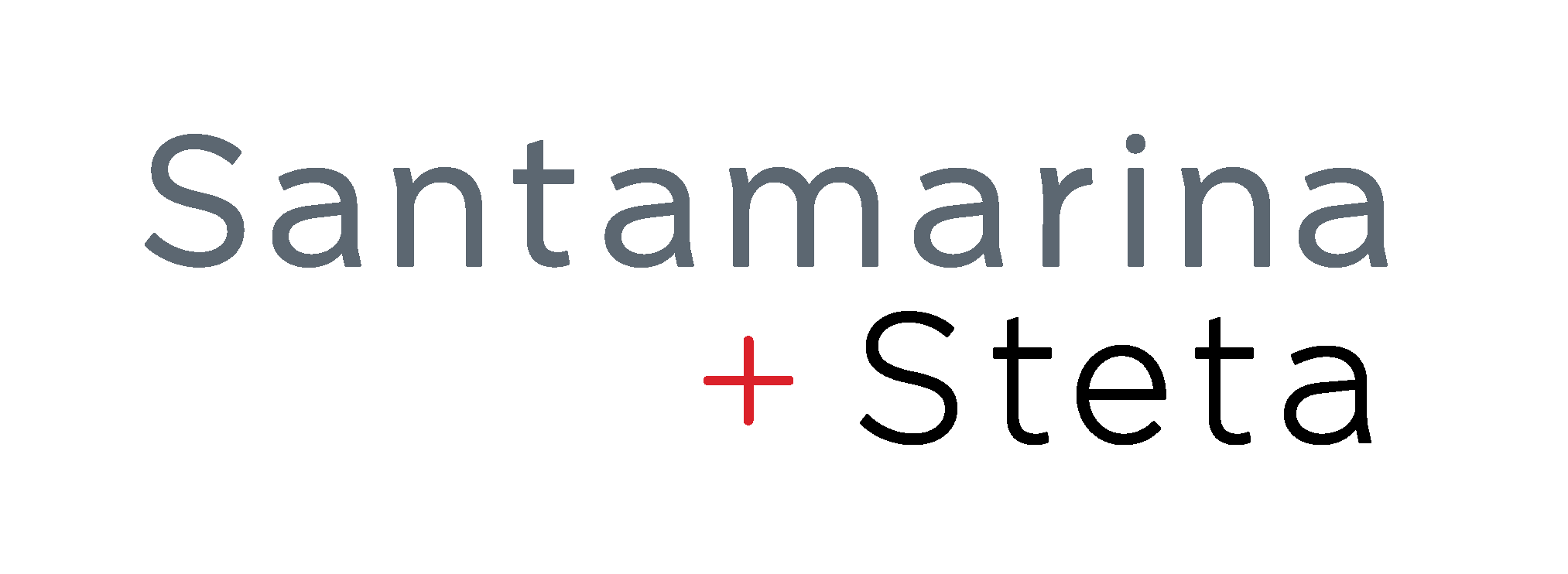 Santamarina y Steta logo