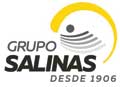 Grupo Salinas logo