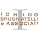 Ichino Brugnatelli e Associati logo