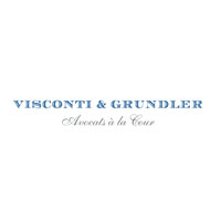 Visconti & Grundler Logo
