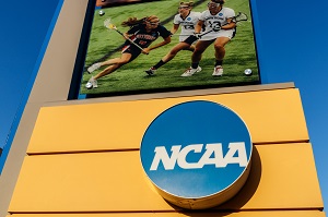 1132008a.jpg
