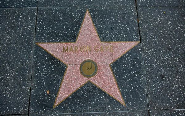 1237178e.jpg