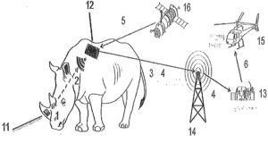 900726a.jpg