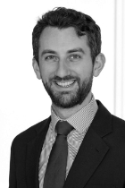 David Lawne photo