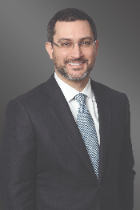 David I. Schulman photo