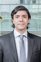 Antonio De Lisi photo