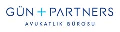 Gün + Partners company logo