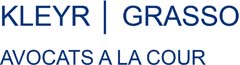 KLEYR GRASSO company logo
