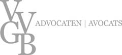 V V G B Advocaten-Avocats company logo